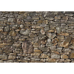 Фотообои бумажные Komar Stone Wall (Каменная стена) 368х254 см (8-727) лучшая модель в Черновцах