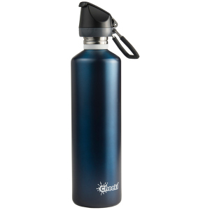 Бутылка для воды Cheeki Single Wall Active Bottle Синяя 1 л (ASB1000OC1) лучшая модель в Черновцах