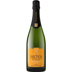 Вино игристое Hoya de Cadenas Cava Brut Nature белое брют 0.75 л 11.5% (8410310605994) лучшая модель в Черновцах