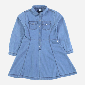 Платье джинсовое с длинными рукавами Piazza Italia 70029 172 см Denim (2070029001089) ТОП в Черновцах