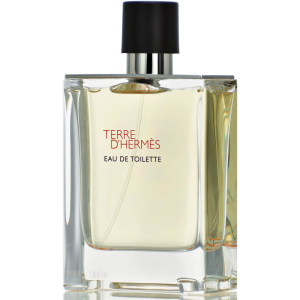 Тестер Туалетна вода для чоловіків Hermes Terre D'hermes 100 мл (3346131400027) в Чернівцях