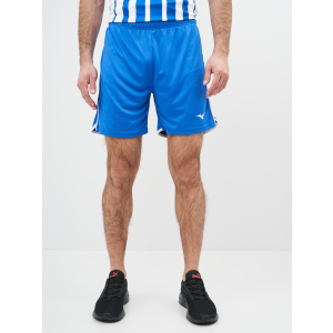 Спортивні шорти Mizuno High-Kyu Short V2EB700122 L (5054698344941) в Чернівцях