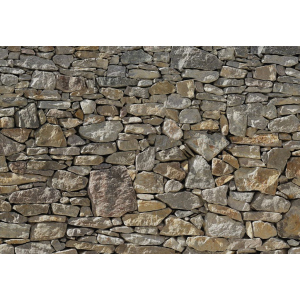 Фотошпалери флізелінові Komar Stone Wall (Кам'яна стіна) 368х254 см 8 сегментів (8NW-727) ТОП в Чернівцях