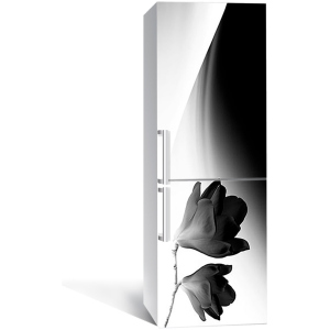 Виниловая 3D наклейка на холодильник Zatarga Минимализм и магнолия 650х2000 мм (Z180948re) лучшая модель в Черновцах