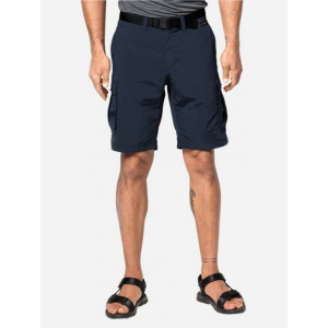 Шорти Jack Wolfskin Canyon Cargo Shorts 1504201-1010 48 (4055001473199) ТОП в Чернівцях