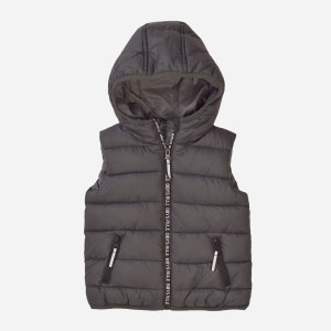 Жилет Minoti 7BGILET 9 34601JNR 110-116 см Темно-серый (5059030593988) ТОП в Черновцах