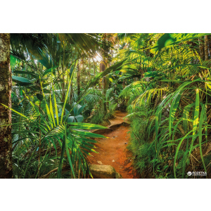 хороша модель Фотошпалери паперові Komar Jungle Trail 368х254 см 8 сегментів (8-989)