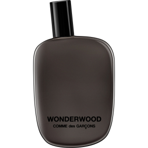 Тестер Парфюмированная вода унисекс Comme Des Garcons Wonderwood 100 мл (8411061707838) лучшая модель в Черновцах