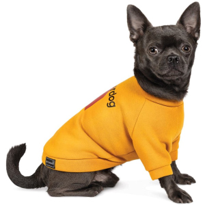 Толстовка Pet Fashion "SUPERDOG" для собак розмір XS, Помаранчева (4823082420278) ТОП в Чернівцях