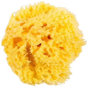 Натуральная морская губка Ok Baby Honeycomb Sea Sponge размер 12 (38471200) в Черновцах