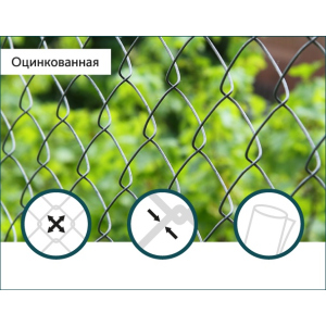 Сітка Рабиця оцинкована Сітка Захід 60х60/3,0мм 1,5м/10м в Чернівцях