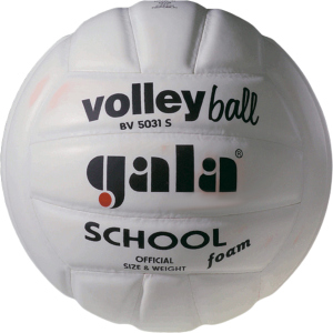 М'яч волейбольний Gala School White (BV5031SB)